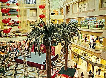 老头环下载有什么需要注意的  艾尔登法环有简体中文吗